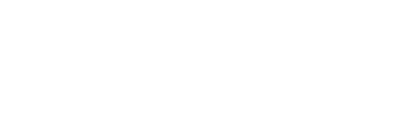 Writer Logo